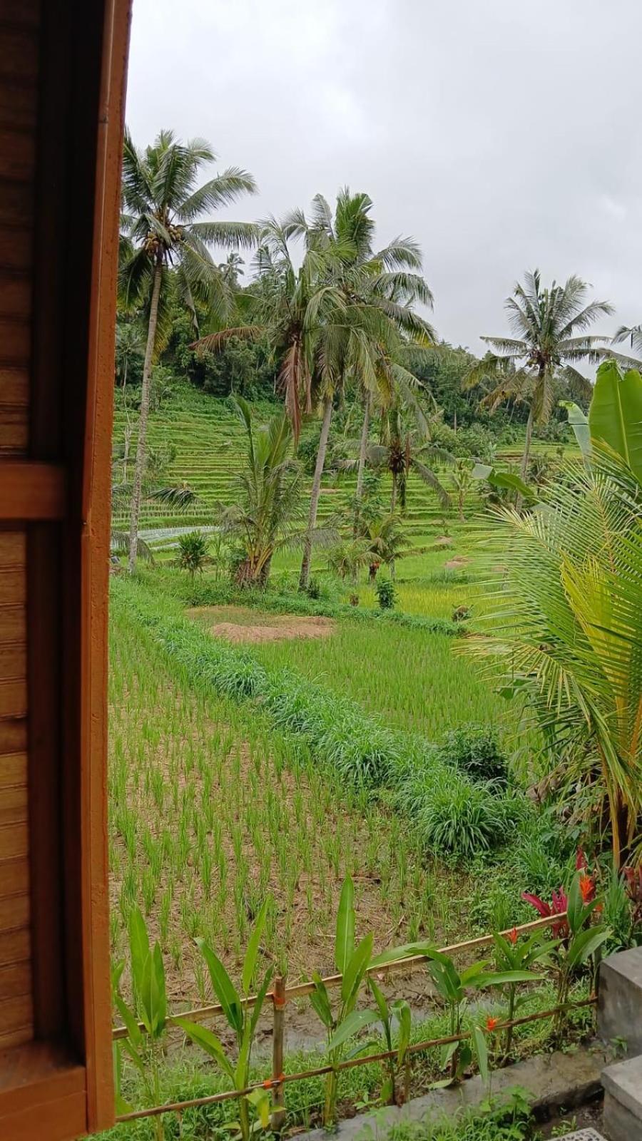 Lumbung Umaluah Villa Sidemen  Luaran gambar